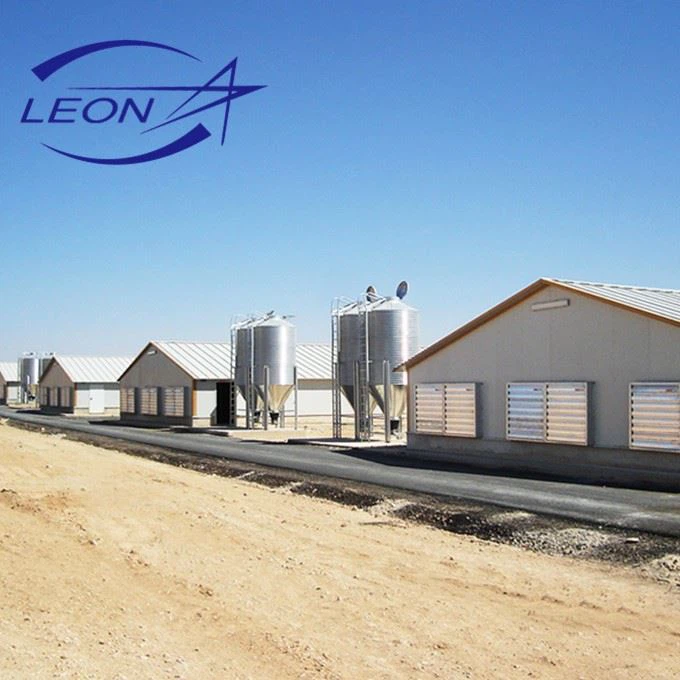 Breeder Chain Feeding System