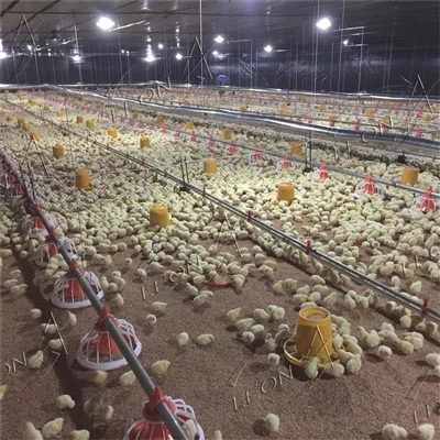 Com fer una comprovació de pollets