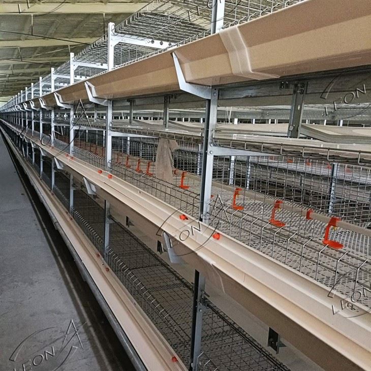Gàbia de pollastre broiler de 4 nivells tipus H